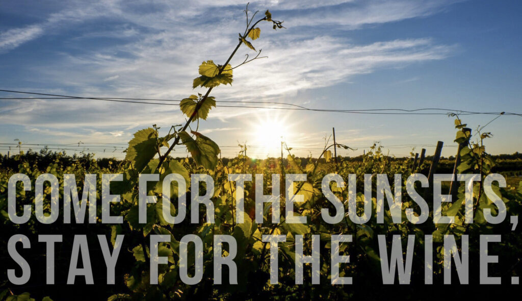 Our Story: Come for the sunsets, stay for the wine